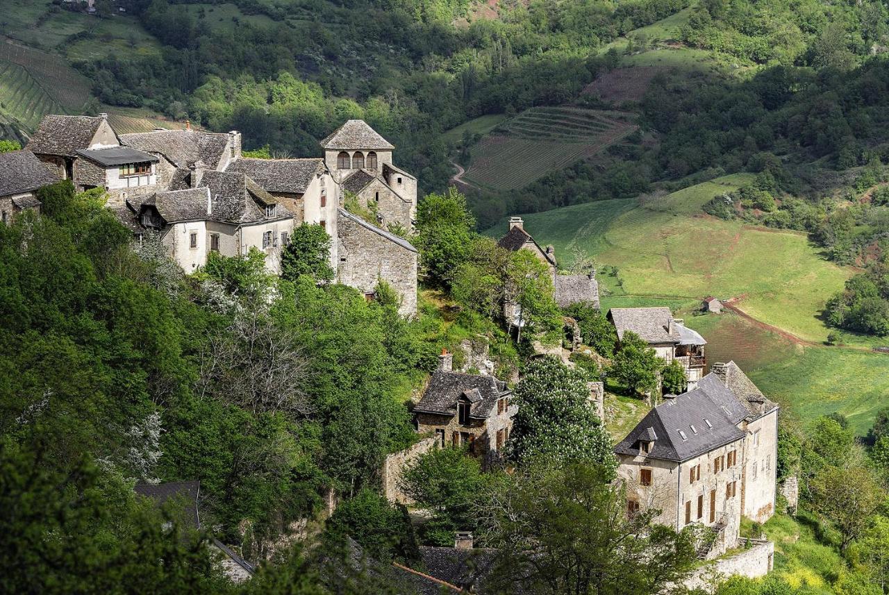 Gite De La Cascade Salles-la-Source 외부 사진